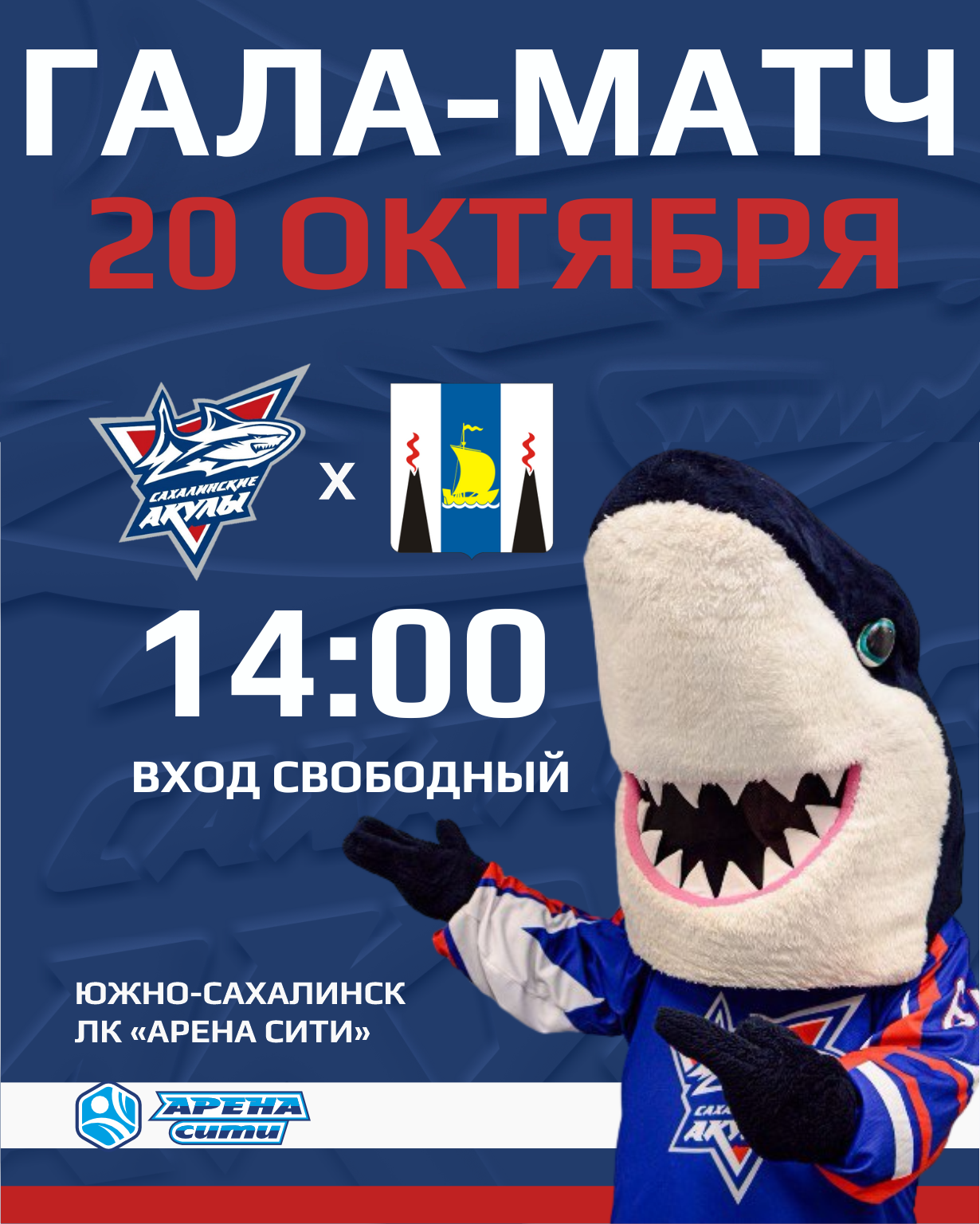 20 октября 2024 года в ледовом комплексе «Арена Сити» состоится Гала-Матч