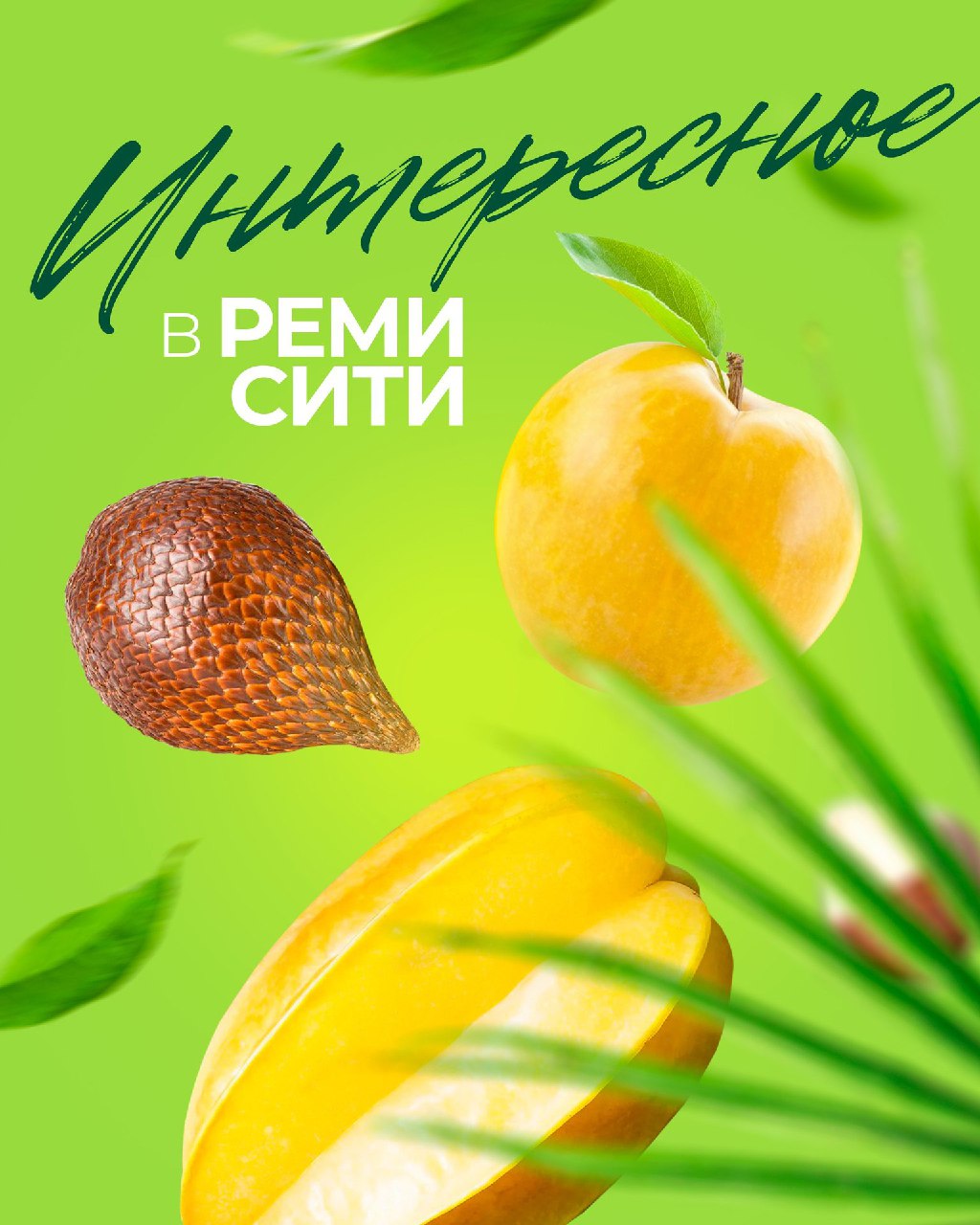 Интересное в Реми Сити